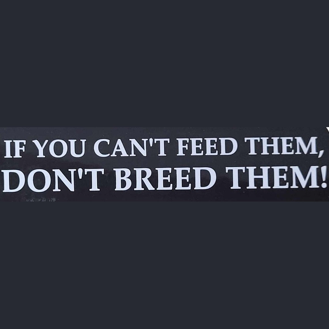Helmet Decal or Sticker Quote