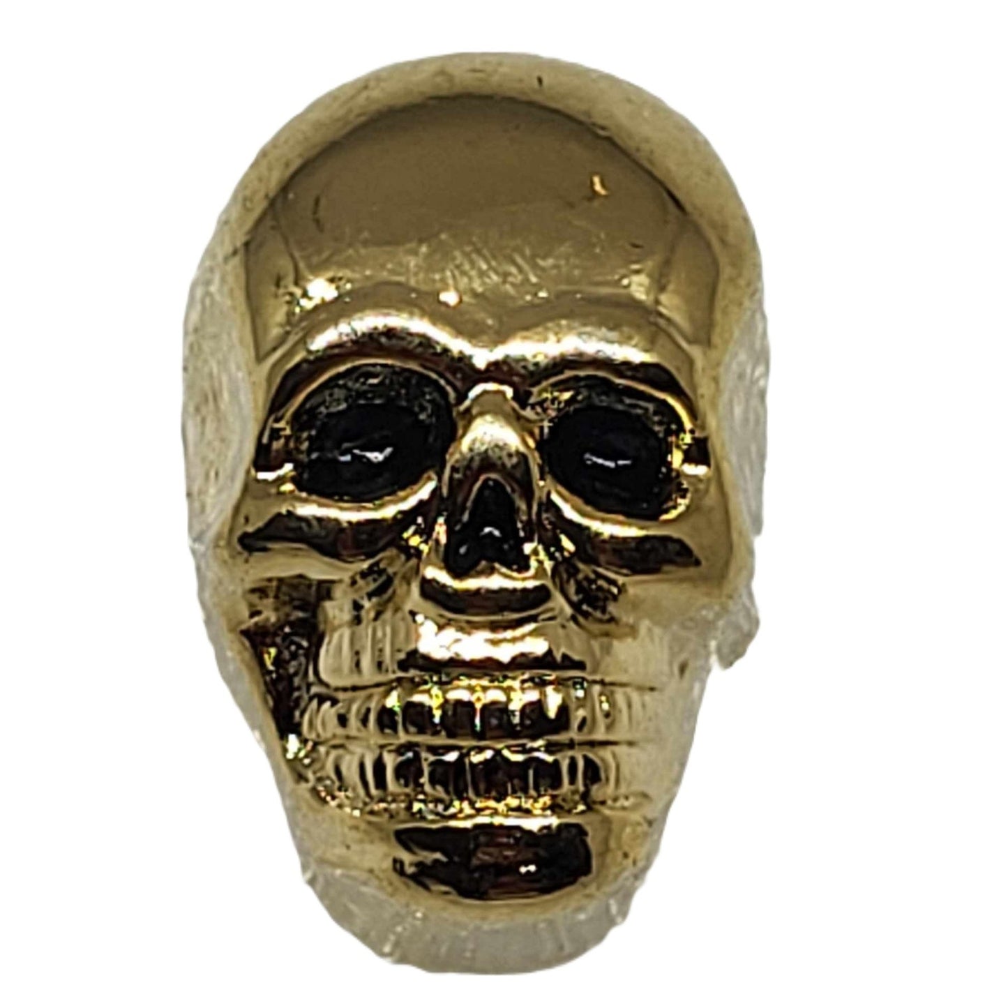 License Plate Fasteners - Gold Skulls