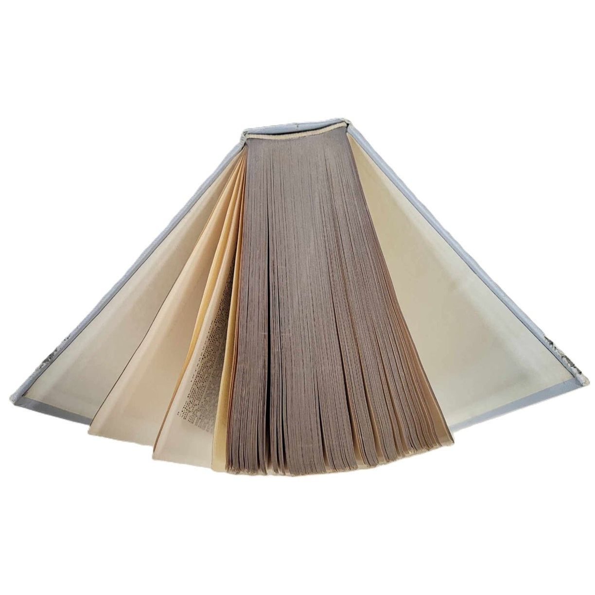 1960 book Northern Lights top view of pages
