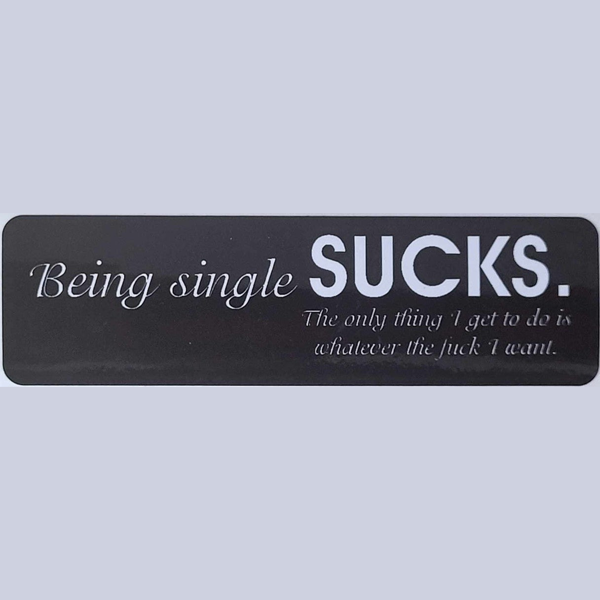Being Single Sucks, I get to do whatever I want