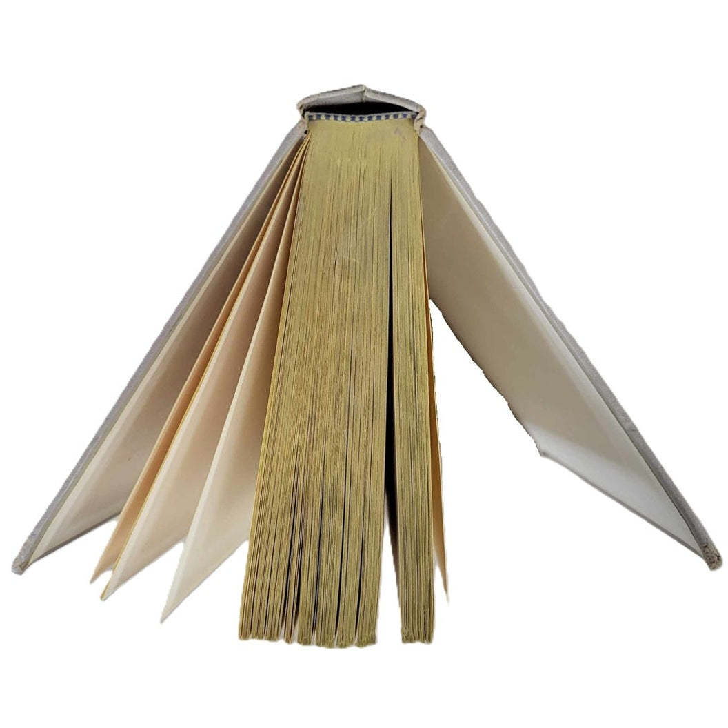 Trinple Exposure book pages from the top